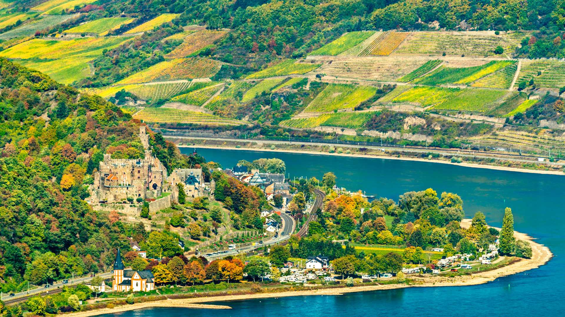 The Rhine